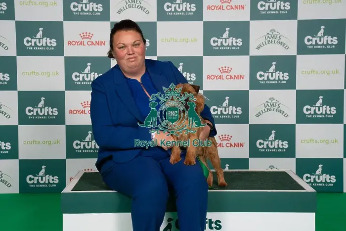 Framed Print : D-C-D-0-1-9-0 Crufts 2024 NEC Birmingham Toy Framed Print : D-C-D-0-1-9-0 Crufts 2024 NEC Birmingham Toy