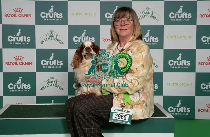 Framed Print : D-C-D-0-1-9-0 Crufts 2024 NEC Birmingham Toy Framed Print : D-C-D-0-1-9-0 Crufts 2024 NEC Birmingham Toy