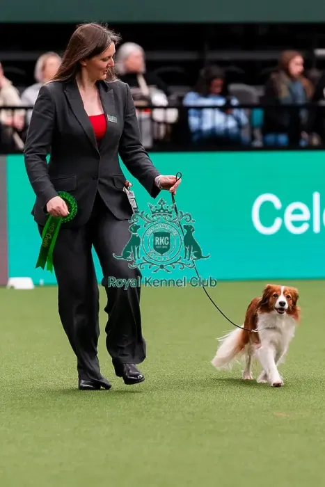 Framed Print : D-C-D-0-1-9-0 Crufts 2024 NEC Birmingham Utility