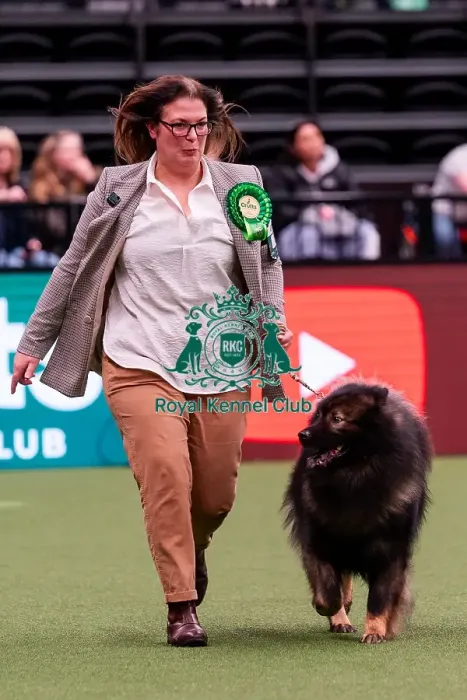 Framed Print : D-C-D-0-1-9-0 Crufts 2024 NEC Birmingham Utility Framed Print : D-C-D-0-1-9-0 Crufts 2024 NEC Birmingham Utility