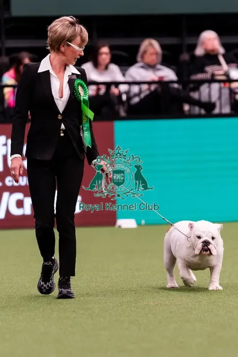 Framed Print : D-C-D-0-1-9-0 Crufts 2024 NEC Birmingham Utility Framed Print : D-C-D-0-1-9-0 Crufts 2024 NEC Birmingham Utility