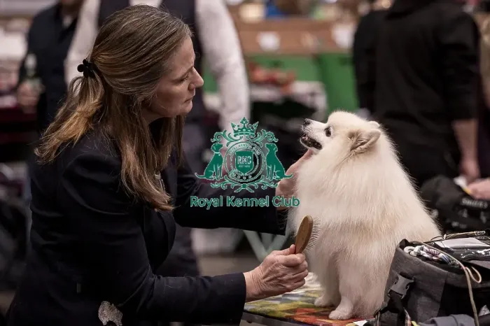 Framed Print : D-C-D-0-1-9-0 Crufts 2024 NEC Birmingham Utility Framed Print : D-C-D-0-1-9-0 Crufts 2024 NEC Birmingham Utility