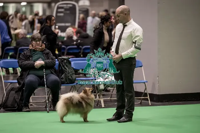Framed Print : D-C-D-0-1-9-0 Crufts 2024 NEC Birmingham Utility Framed Print : D-C-D-0-1-9-0 Crufts 2024 NEC Birmingham Utility