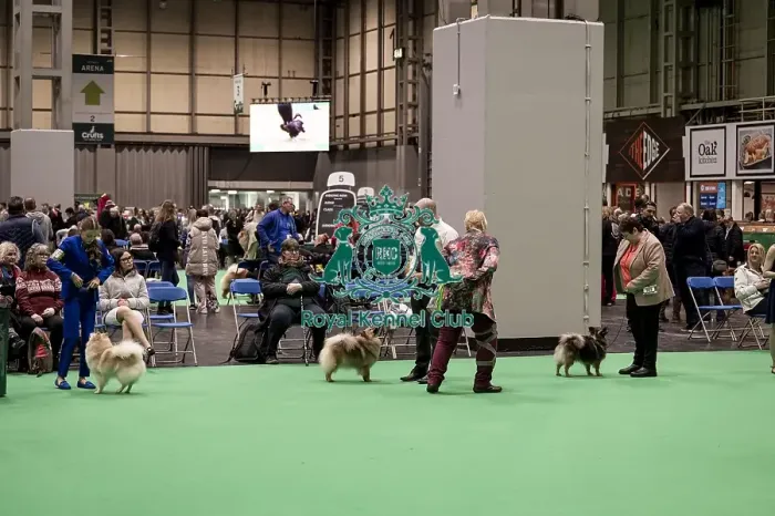 Framed Print : D-C-D-0-1-9-0 Crufts 2024 NEC Birmingham Utility Framed Print : D-C-D-0-1-9-0 Crufts 2024 NEC Birmingham Utility