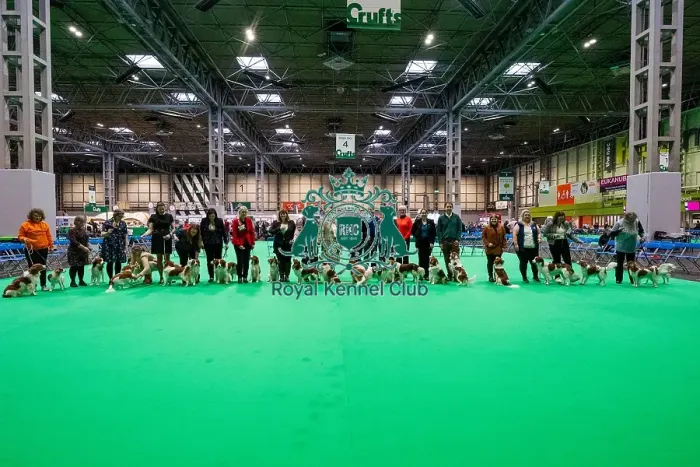 Framed Print : D-C-D-0-1-9-0 Crufts 2024 NEC Birmingham Utility Framed Print : D-C-D-0-1-9-0 Crufts 2024 NEC Birmingham Utility