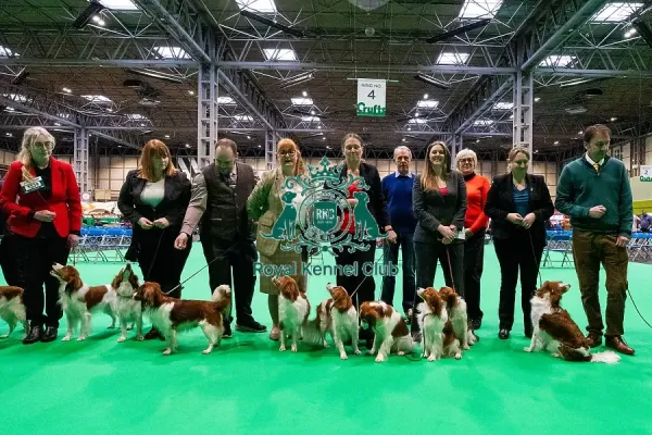 D-C-D-0-1-9-0 Crufts 2024 NEC Birmingham Art Prints