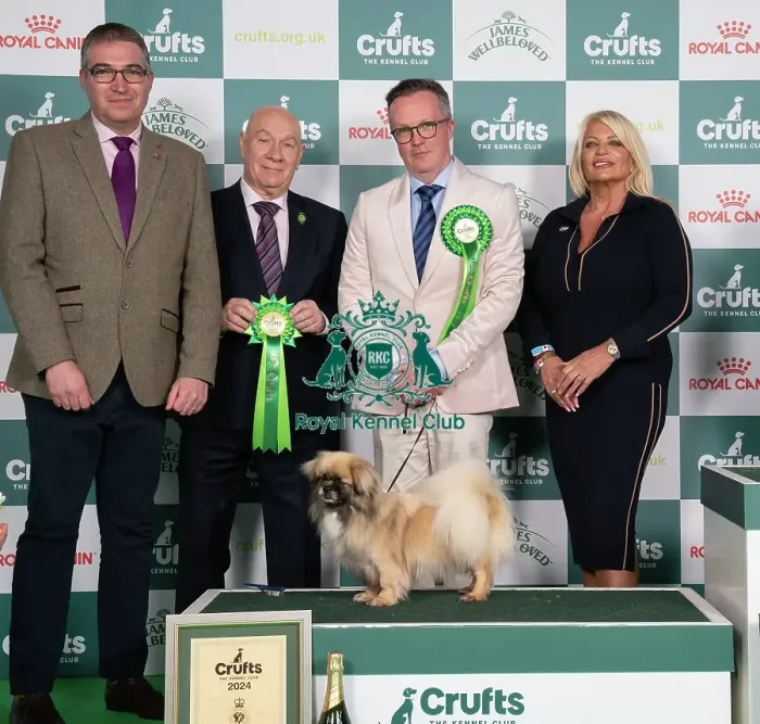 Framed Print : D-C-D-0-1-9-0 Crufts 2024 NEC Birmingham Utility
