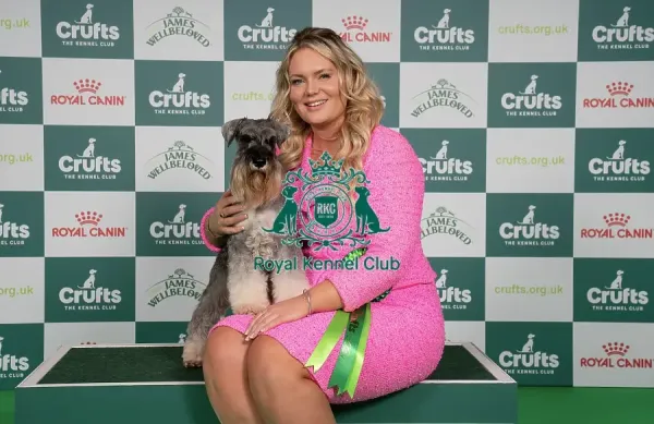 D-C-D-0-1-9-0 Crufts 2024 NEC Birmingham Art Prints - Main Image