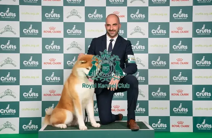 Framed Print : D-C-D-0-1-9-0 Crufts 2024 NEC Birmingham Utility Framed Print : D-C-D-0-1-9-0 Crufts 2024 NEC Birmingham Utility