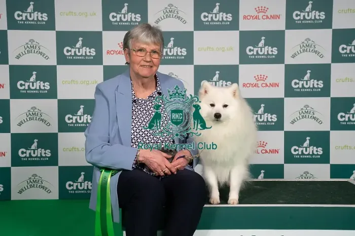 Framed Print : D-C-D-0-1-9-0 Crufts 2024 NEC Birmingham Utility Framed Print : D-C-D-0-1-9-0 Crufts 2024 NEC Birmingham Utility