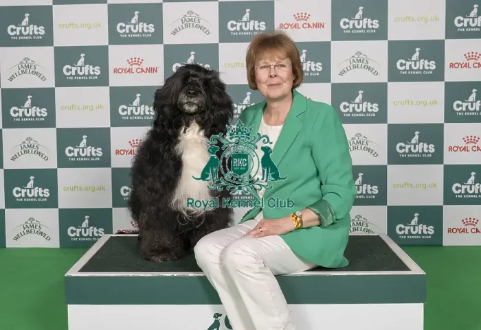 Framed Print : D-C-D-0-1-9-0 Crufts 2024 NEC Birmingham Working Framed Print : D-C-D-0-1-9-0 Crufts 2024 NEC Birmingham Working