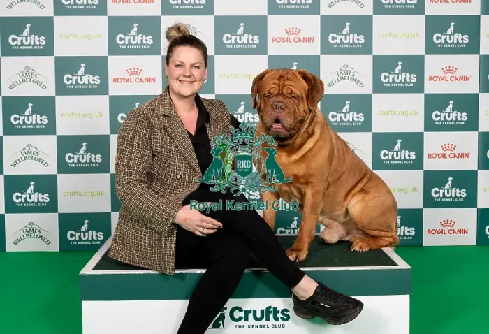 Framed Print : D-C-D-0-1-9-0 Crufts 2024 NEC Birmingham Working Framed Print : D-C-D-0-1-9-0 Crufts 2024 NEC Birmingham Working