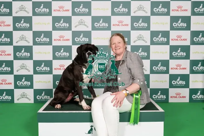 Framed Print : D-C-D-0-1-9-0 Crufts 2024 NEC Birmingham Working Framed Print : D-C-D-0-1-9-0 Crufts 2024 NEC Birmingham Working