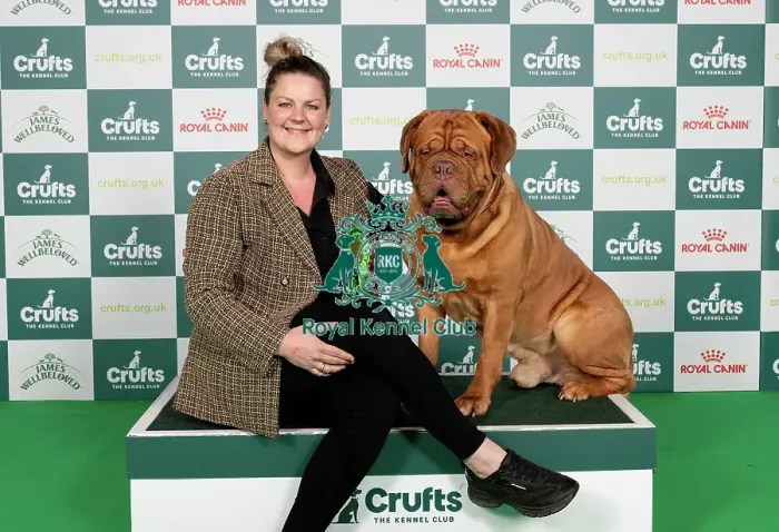 Framed Print : D-C-D-0-1-9-0 Crufts 2024 NEC Birmingham Working Framed Print : D-C-D-0-1-9-0 Crufts 2024 NEC Birmingham Working