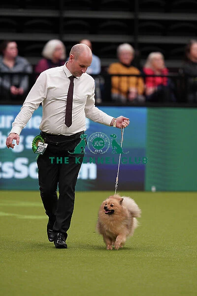 Dale Francis and Gary Pearce from Middlesborough, with Izzy, a German Spitz (Mittel), which was the Best of Breed winner today (Sunday 12. 03. 23), the last day of Crufts 2023, at the NEC Birmingham