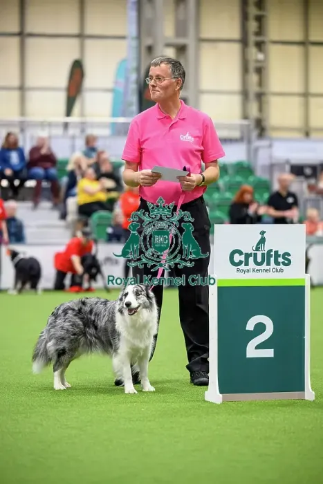 Framed Print : David and Boo-Boo, Runners up in the Level 6 Inter-Regional Rally Competition today (05)