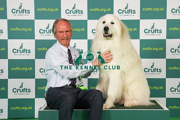 David Edwards, from Daventry with Leo, a Pyrenean Mountain Dog, which was the Best of Breed winner today (Friday 10. 03. 23), the second day of Crufts 2023, at the NEC Birmingham