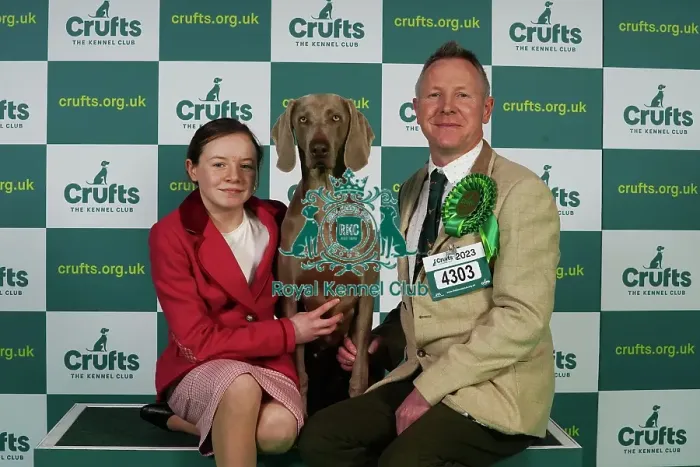 Framed Print : Dearbhla and Colin Nugent from Armagh with Didi, a Weimaraner, which was the Best of Breed winner today (Thursday 09. 03. 23), the first day of Crufts 2023, at the NEC Birmingham Framed Print : Dearbhla and Colin Nugent from Armagh with Didi, a Weimaraner, which was the Best of Breed winner today (Thursday 09. 03. 23), the first day of Crufts 2023, at the NEC Birmingham
