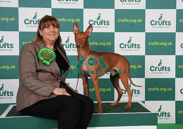 Debbie McDonnell from Essex with Rafa, a Cirneco dell'Etna, which was the Best of Breed winner today (Saturday 11. 03. 23), the third day of Crufts 2023, at the NEC Birmingham