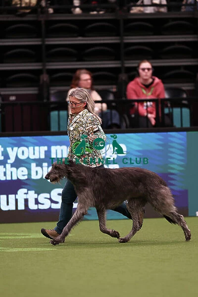 Dena Abbott and Nicola Bailey from Leicestershire with Pearl, a Deerhound, which was the Best of Breed winner today (Saturday 11. 03. 23), the third day of Crufts 2023, at the NEC Birmingham