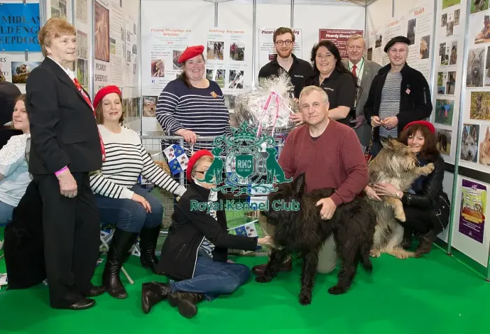 Framed Print : Discover Dogs Best Booth : Pastoral Group awarded to The Picardy Sheepdog Framed Print : Discover Dogs Best Booth : Pastoral Group awarded to The Picardy Sheepdog