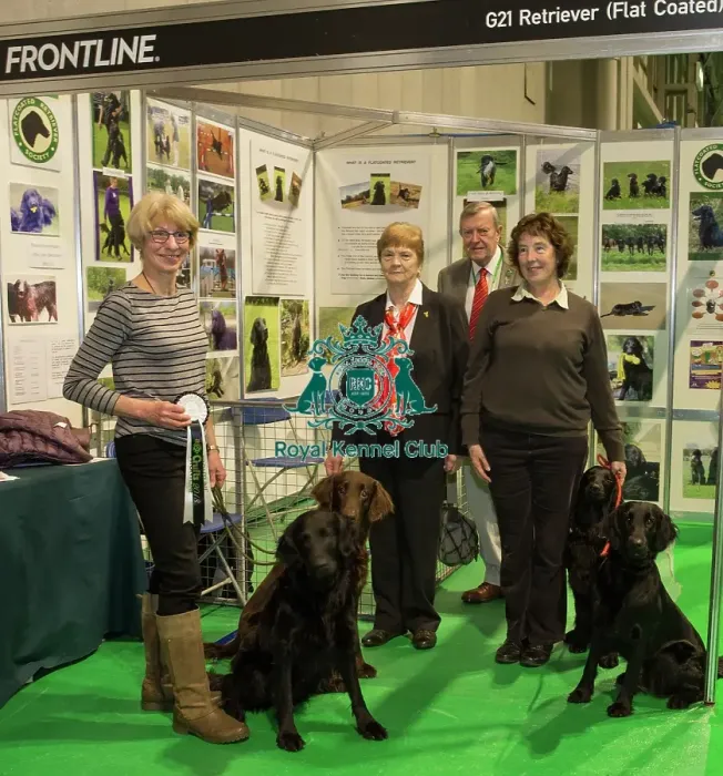 Framed Print : Discover Dogs Best Booth : Retriever Group awarded to Flat coated Retriever Framed Print : Discover Dogs Best Booth : Retriever Group awarded to Flat coated Retriever