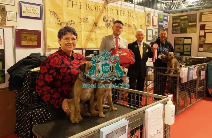 Framed Print : Discover Dogs winner Border Terrier Framed Print : Discover Dogs winner Border Terrier