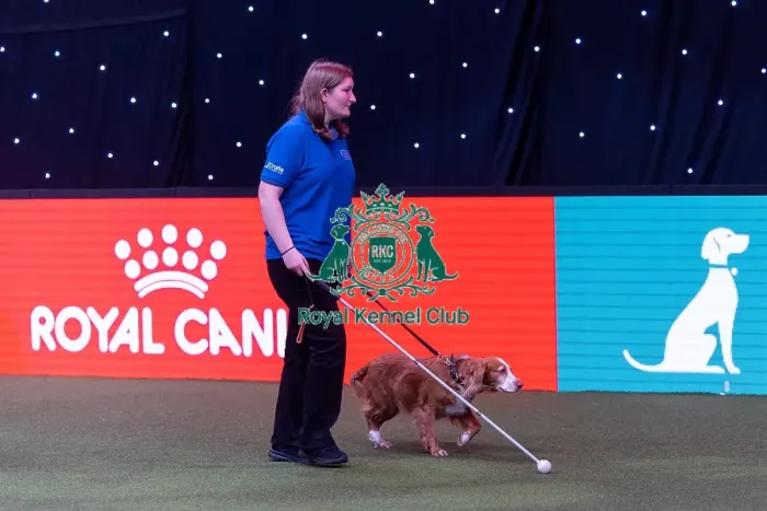 Framed Print : Elizabeth Rawlinson with her dog River competing in Good Citizen Dog Training scheme display in the main arena