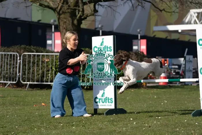 Framed Print : Ellie Simmonds OBE and Ozzy an English Springer Spaniel a first time competitor in Obreedience