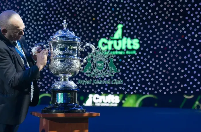 Framed Print : Finishing touch on the Crufts Best in Show Keddell Memorial trophy Framed Print : Finishing touch on the Crufts Best in Show Keddell Memorial trophy