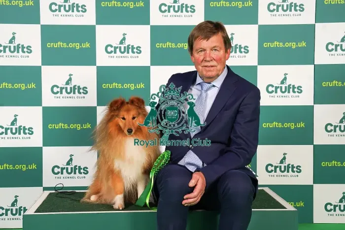 Framed Print : Finn Helge Olsen from Norway with Nicholas, Shetland Sheepdog, which was the Best of Breed winner today (Friday 10. 03. 23), the second day of Crufts 2023, at the NEC Birmingham Framed Print : Finn Helge Olsen from Norway with Nicholas, Shetland Sheepdog, which was the Best of Breed winner today (Friday 10. 03. 23), the second day of Crufts 2023, at the NEC Birmingham