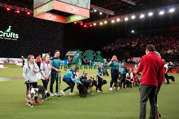 Flyball Crufts 2022
