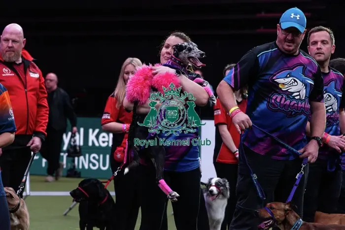 Framed Print : Flyball Final