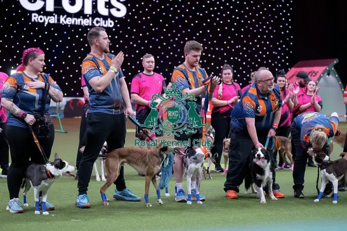 Framed Print : Flyball final