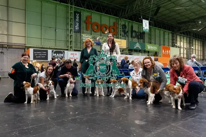 Framed Print : General shot of owners who are showing their Kooikerhondje Framed Print : General shot of owners who are showing their Kooikerhondje