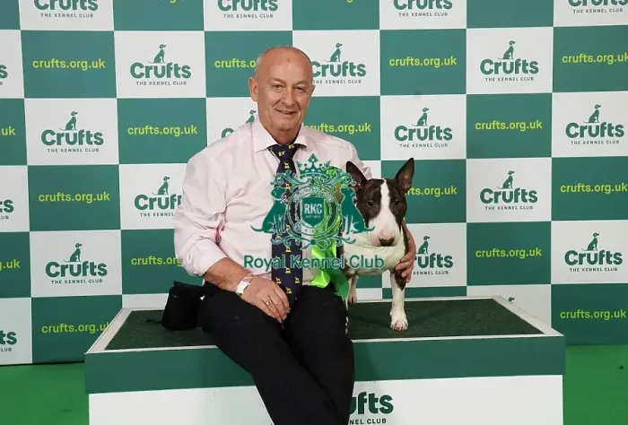 Framed Print : Ger Cox from Ireland with Jerry, a Bull Terrier (Miniature), which was the Best of Breed winner today (Saturday 11. 03. 23), the third day of Crufts 2023, at the NEC Birmingham Framed Print : Ger Cox from Ireland with Jerry, a Bull Terrier (Miniature), which was the Best of Breed winner today (Saturday 11. 03. 23), the third day of Crufts 2023, at the NEC Birmingham