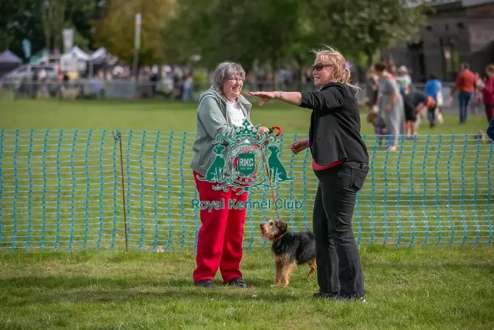Framed Print : Good Citizen Dog Scheme Class Sunday 15th September 2024