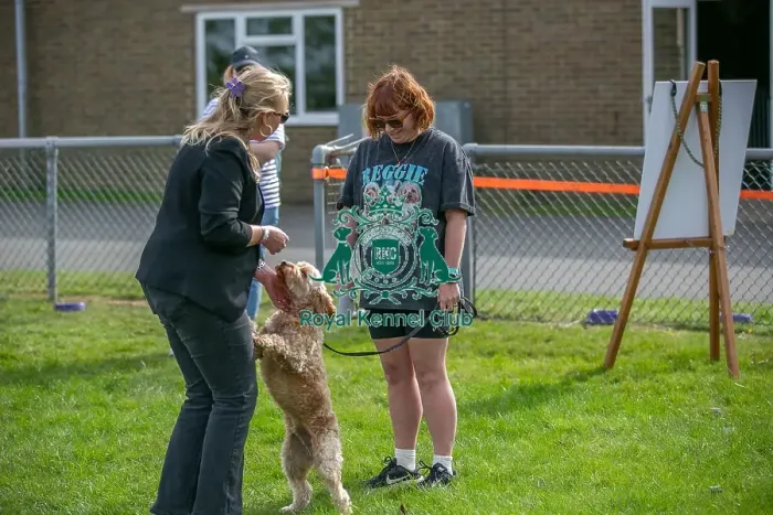 Framed Print : Good Citizen Dog Scheme Class Sunday 15th September 2024