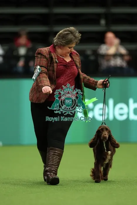 Framed Print : Gretel Osborn from Aylesbury with Esther, a Field Spaniel, which was the Best of Breed winner today (Thursday 09. 03. 23), the first day of Crufts 2023, at the NEC Birmingham Framed Print : Gretel Osborn from Aylesbury with Esther, a Field Spaniel, which was the Best of Breed winner today (Thursday 09. 03. 23), the first day of Crufts 2023, at the NEC Birmingham