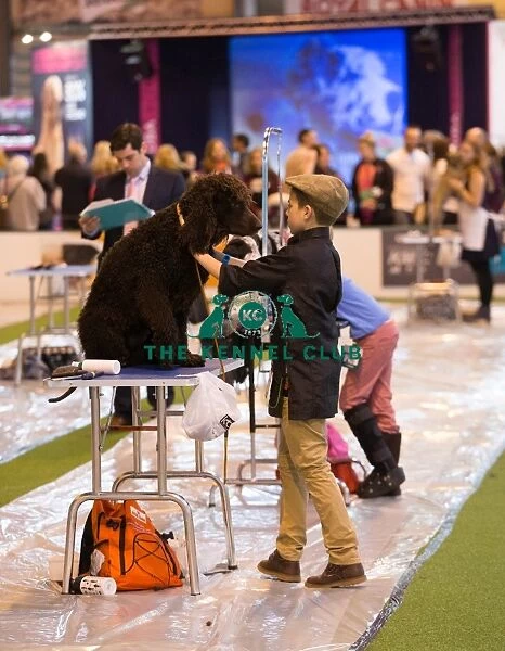 groomer of the year competition