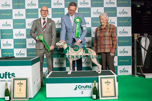 Group Winner Hound Group 2nd place Whippet Crufts 2022