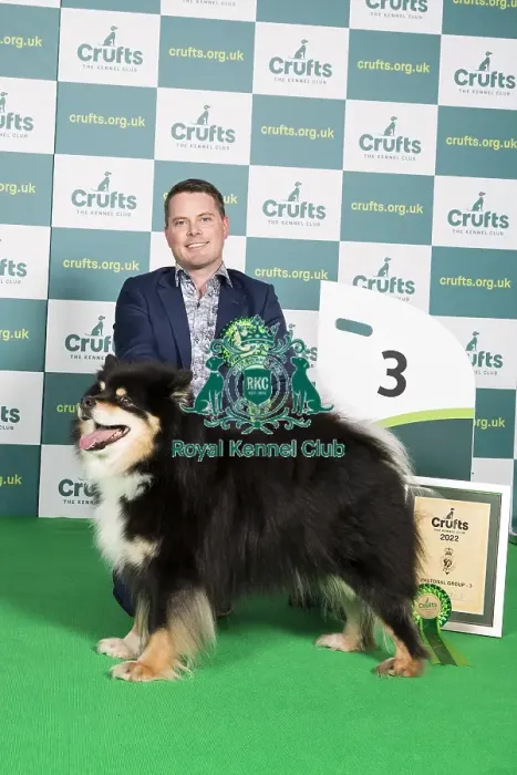 Framed Print : Group Winner Pastoral 3rd place FINNISH LAPPHUND Framed Print : Group Winner Pastoral 3rd place FINNISH LAPPHUND