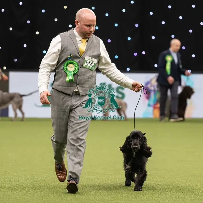 Framed Print : Gundog Group Judging Crufts 2022 Framed Print : Gundog Group Judging Crufts 2022