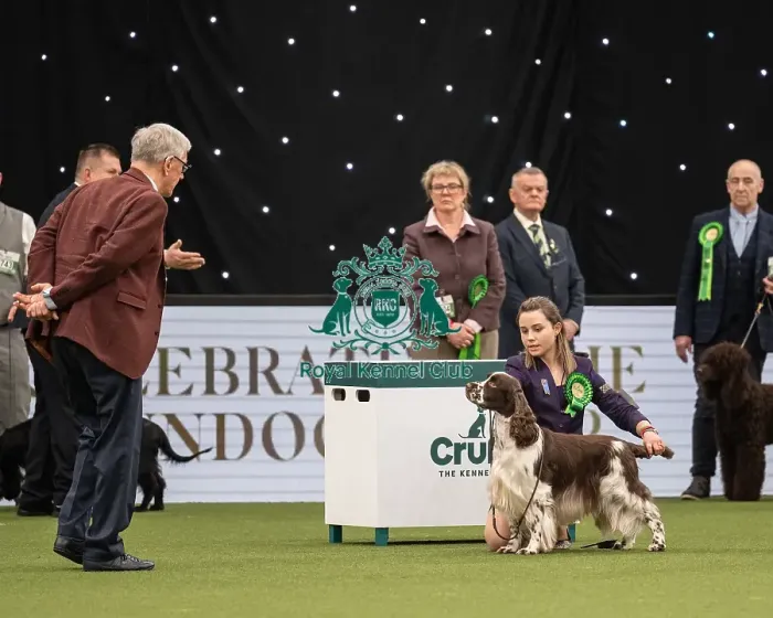 Framed Print : Gundog Group Judging Crufts 2022 Framed Print : Gundog Group Judging Crufts 2022