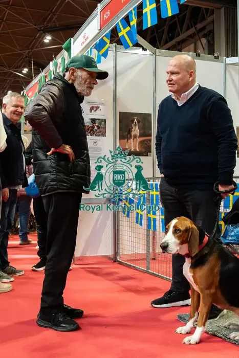 Framed Print : The Hamiltonsvare At Discover Dogs