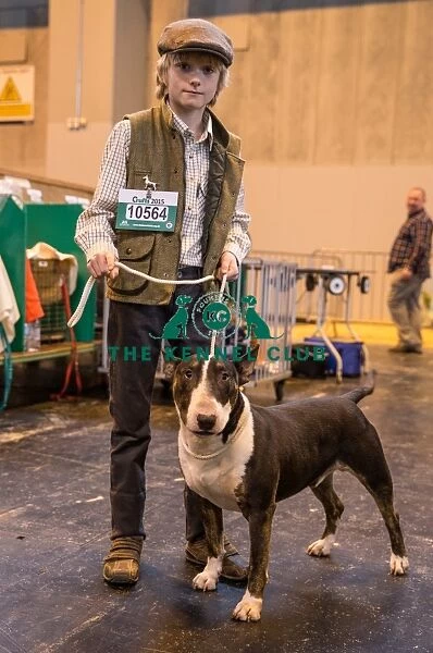 Handler with English Bull Terrier