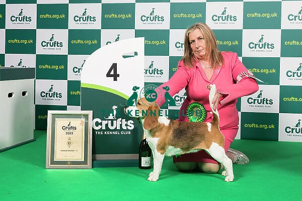 Hound Group 4th Place Crufts 2023