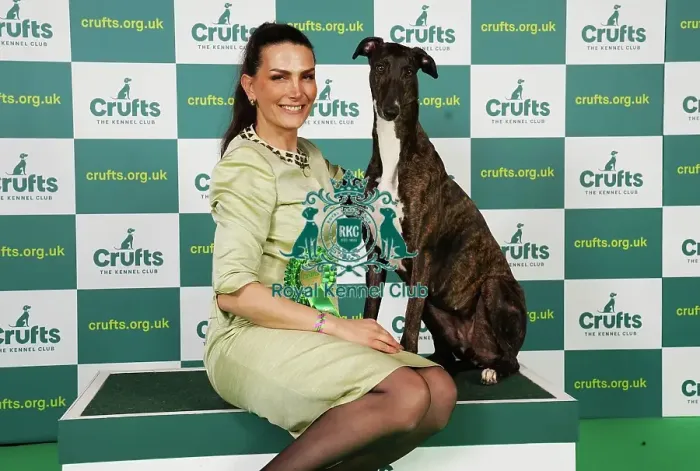 Framed Print : Ina Koulermou from Germany with Aya, a Great Hound, which was the Best of Breed winner today (Saturday 11. 03. 23), the third day of Crufts 2023, at the NEC Birmingham Framed Print : Ina Koulermou from Germany with Aya, a Great Hound, which was the Best of Breed winner today (Saturday 11. 03. 23), the third day of Crufts 2023, at the NEC Birmingham