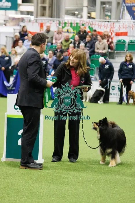 Framed Print : Inter-Regional Obedience Competition Framed Print : Inter-Regional Obedience Competition