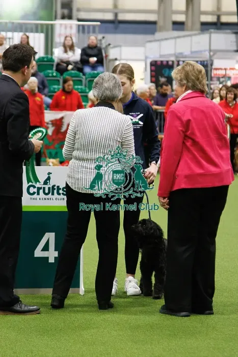 Framed Print : Inter-Regional Obedience Competition Framed Print : Inter-Regional Obedience Competition